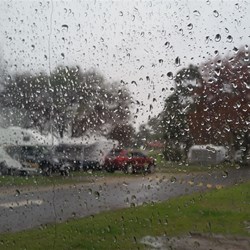 another wet view of the park