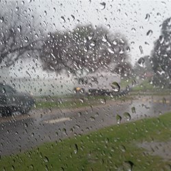 wet views from my window