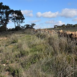 Ngapala is an old town that no one ever visits