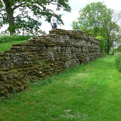 The outside of the Silchester walls