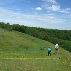 At a corner of Uley Bury hillfort where the banks and filled-in old ditches can be seen