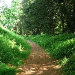 Some of the ditches and banks at Wandlebury Hillfort