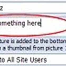 Signature Text Field
