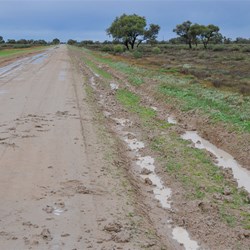 Bogged at Menindee