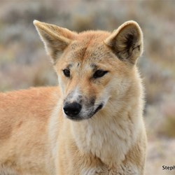 The female was very cute 