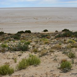 No water for as far as the eye can see at Level Post Bay