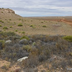 Marree Cliffs