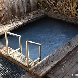 Coward Springs Natural Spa