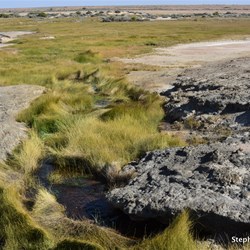 The overflow from The Bubble