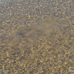 The Bubbler in action