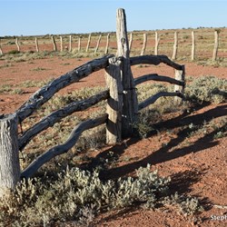 Old Stockyards on the way out to Lake Eyre North