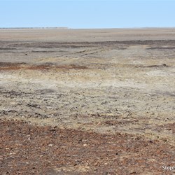 ABC Bay is the type of place you would only want to visit once