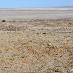 All the Media reports claimed Lake Eyre was full of water - so who pulled out the plug?