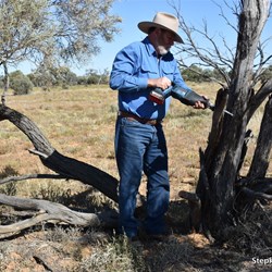 Time for collecting our firewood