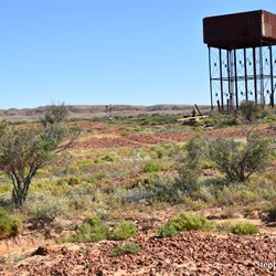 Mount Dutton Siding Ruins