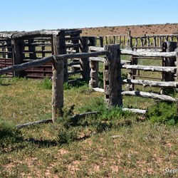 The heritage listed Eringa Stockyards