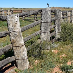 The heritage listed Eringa Stockyards