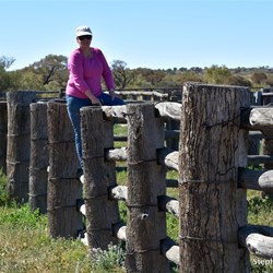 The heritage listed Eringa Stockyards