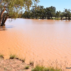Eringa Waterhole was totally full to the brim