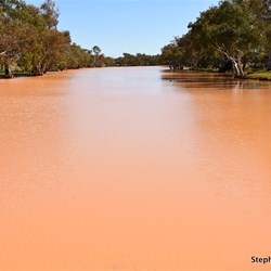 We have never seem so much water in Eringa Waterhole before