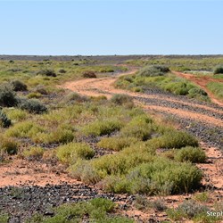 The Abminga Track receives less traffic and was now only a two wheel track