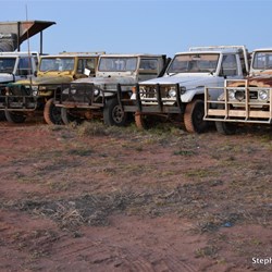 Everyone of these old Toyota's is in working condition