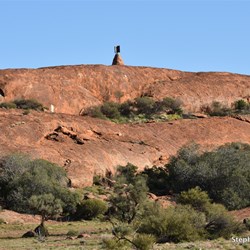 After over 40 years, we finally get to see this in person