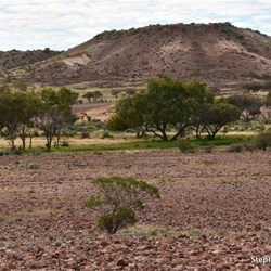 Along the Painted Desert Road