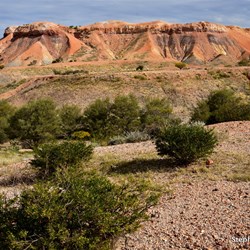 At the start of the walk into the Painted Desert