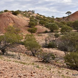 Painted Desert Scenery 