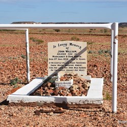 Another lonely roadside grave of 4 year old John Davis