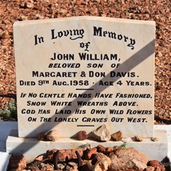 Another lonely roadside grave of 4 year old John Davis