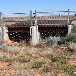 The Dog Fence crossing the Stuart Highway