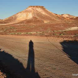 Long shadows at the end of the day