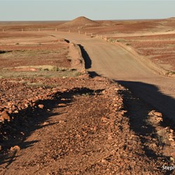 Heading back along the Dog Fence Road