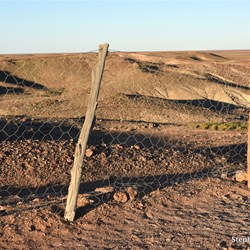 The longest fence in the world - The Dog Fence