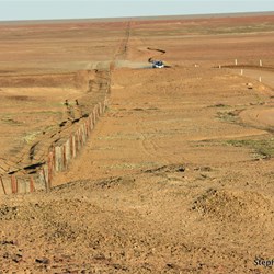 The Dog Fence Road
