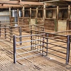 Witchelina Shearing Shed