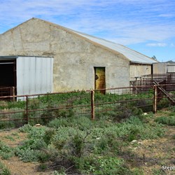 Witchelina Shearing Shed