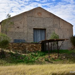 Witchelina Shearing Shed