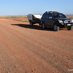 Good conditions before the Dog Fence