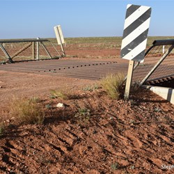 The Dog Fence crossing the William Creek Road