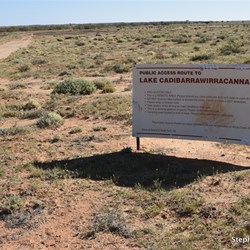 Time to detour out to Lake Cadibarrawirracanna on the PAR