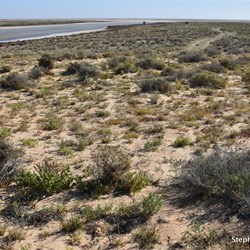 The old track is now closed