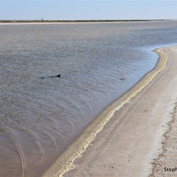 Lake Cadibarrawirracanna