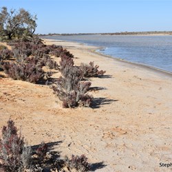 Lake Cadibarrawirracanna