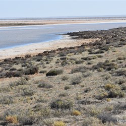 Lake Cadibarrawirracanna