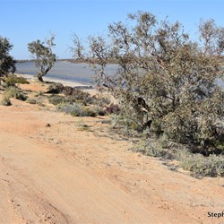 Lake Cadibarrawirracanna