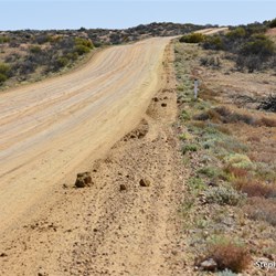 According to the sign at Coober Pedy, this road should have been closed