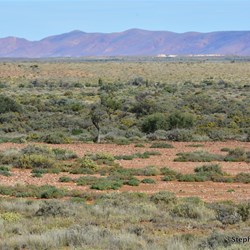 On the 'Old Mt Nor' West' four wheel drive track